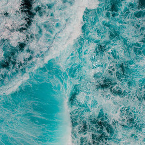 Meet your Posher, Lina